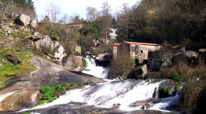 Barro